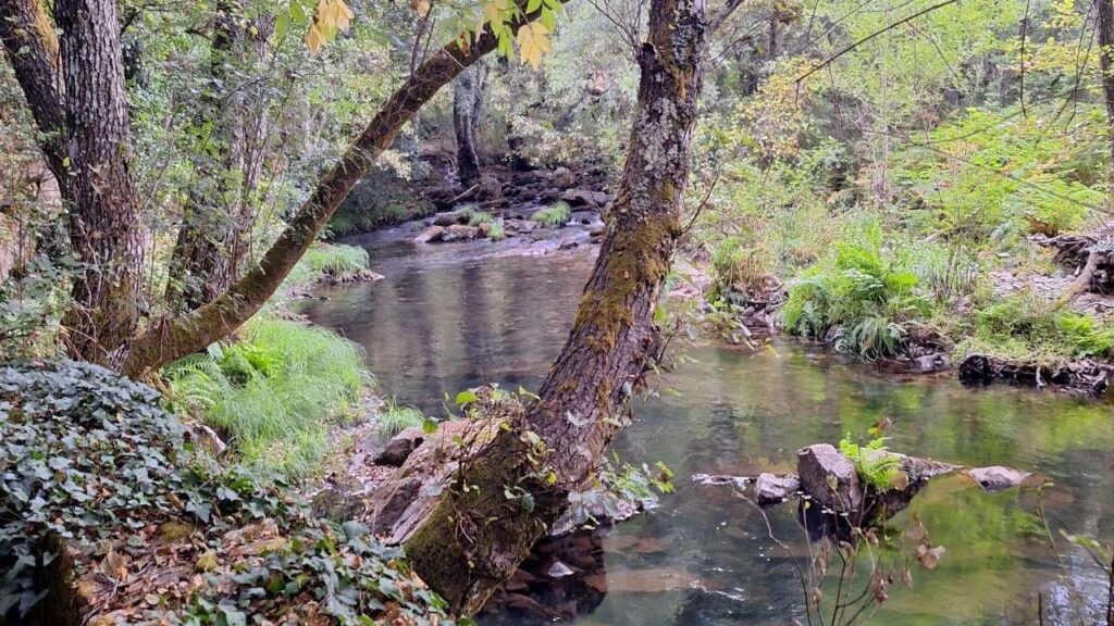 Sales Andando desde Casasturga