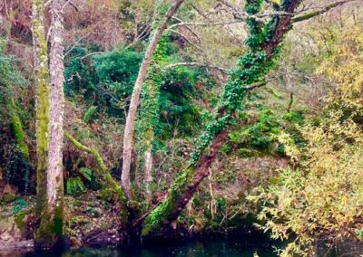 Charca de las Brujas